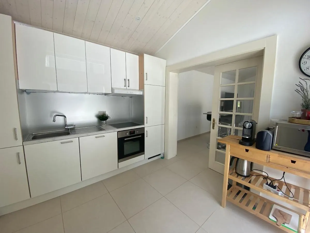 ז'נבה Residence Mont-Blanc Poolhouse 0*,